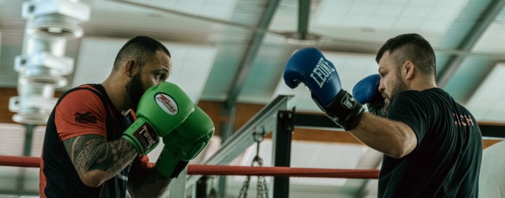 two boxers are punching each other